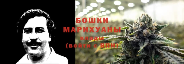 сатива Снежногорск
